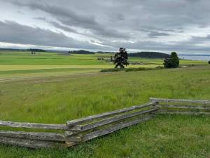 Ebeys Prairie on a gorgeous spring day.