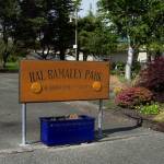 Photo by Caitlyn Anderson
Hal Ramaley Park Memorial Park is adjacent to a proposed Hilton hotel development.