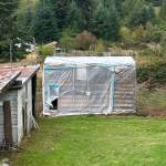 Photo provided/Marian Myszkowski
The Langley hidden cabin is now protected from the weather with plastic tarps and dehumidifiers as its history is researched and its future debated. Substantial funding would be needed to move, preserve and protect the 19th-century structure for educational purposes, one of several possible options.
