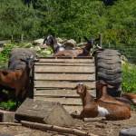 Photo by Caitlyn Anderson