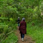 Hikers walk down the Forest Discovery Trail at South Whidbey State Park, May 23. (Photo by Caitlyn Anderson)