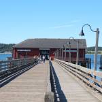 Photo by Luisa Loi
Coupevilles last wharf on a sunny Monday afternoon. By 2050, the town expects the wharf will be flooded as a result of climate change.