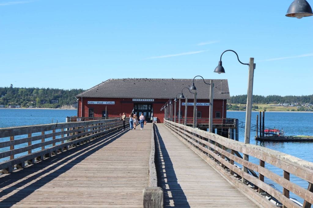 Photo by Luisa Loi
Coupevilles last wharf on a sunny Monday afternoon. By 2050, the town expects the wharf will be flooded as a result of climate change.