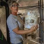Melissa Tucker speaks about the growth of the mushrooms in the grow tent at Willow Ranch, June 25. (Photo by Caitlyn Anderson)