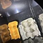 Inside the trap, researchers can see the sand verbena moth at Deception Pass. Note from sand verbena moth lead Julie Combs: This sampling scheme is not destructive. We catch them, count them and then release them. Six moths were found at this trap. (Photo courtesy of Jenny Shrum)