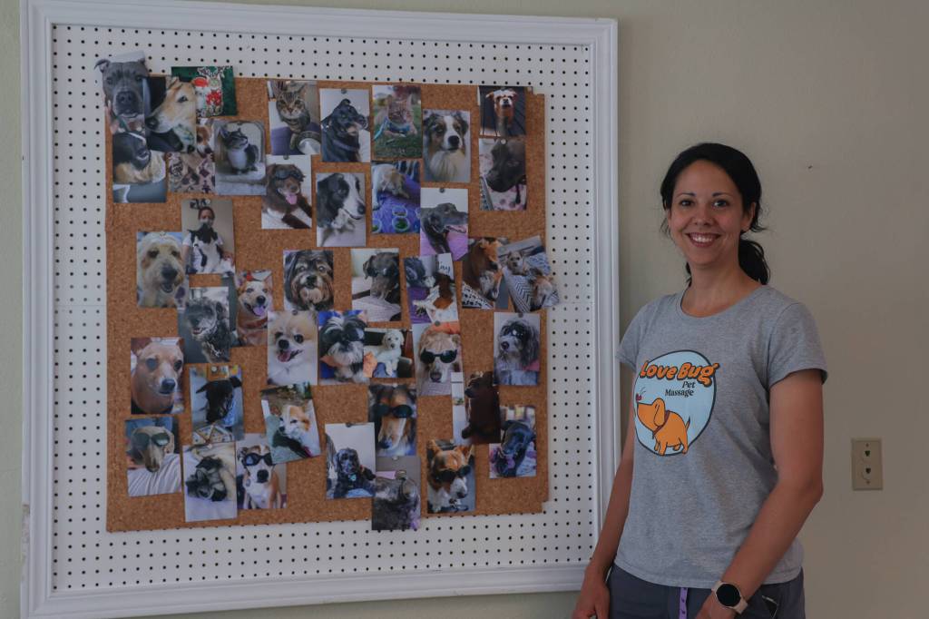 Photo by Caitlyn Anderson
Sarah Wheeler stands before a bulletin board full of pictures of her feline and canine clients.