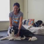 Photo by Caitlyn Anderson
Tess the border collie receives a massage from Sarah Wheeler during her weekly session.