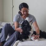 Photo by Caitlyn Anderson
Sarah Wheeler of Love Bug Pet Massage uses laser therapy on Piper the border collie to help relieve joint pain.