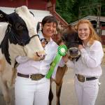 From left, Maddy Brooks, 17, of Duvall and Cadence Smith, 17, of Oak Harbor proudly display their award-winning cows Ellie and Freanna. (Photo by David Welton)