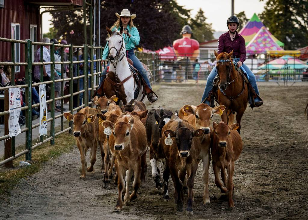 Photo by David Welton