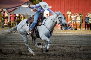 Photo by David Welton
Jocelyn Nichols gallops around the ring at high speed. A new feature of the Whidbey Island Fair, adults and kids competed in seven different rodeo events Friday night. For more fair photos, see page 7.