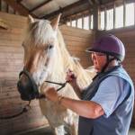 Pat Lamont removes the bridle from her horse, Merit, just before feeding him. (Photo by Luisa Loi)