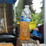 A water bottle full of tap water from the Valley High Park water supply, July 30. (Photo by Caitlyn Anderson)