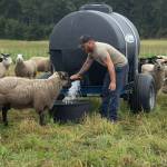 Farmer Kyle Flack fills the water trough for his heard of sheep at Bells Farm. (Photo by Caitlyn Anderson)