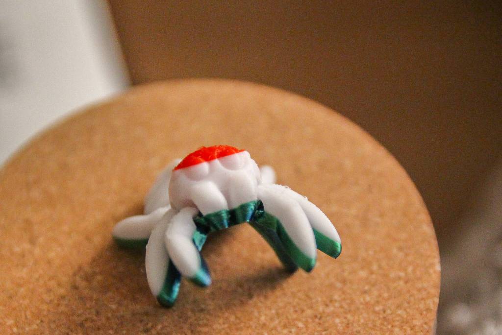 A palm-sized spider poses for a photo. (Photo by Luisa Loi)