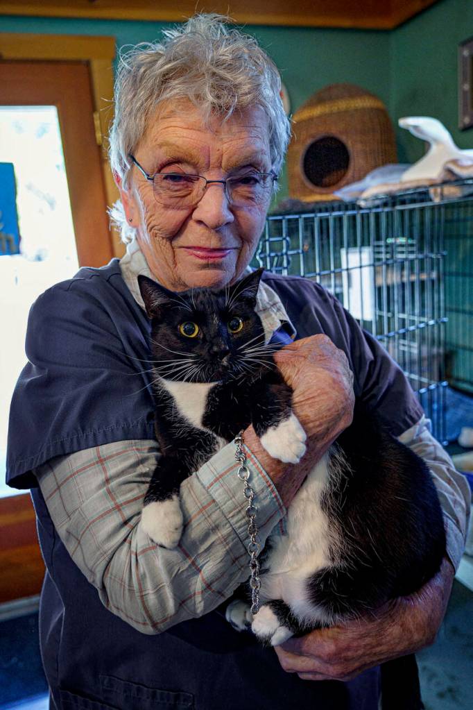Freeland Cat Cottage manager Judy Dewing with Billy the Kid, a friendly tuxedo cat. (Photo by David Welton)