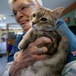 Judy Dewing cuddles handsome Lucious. (Photo by David Welton)