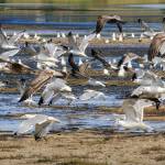 Photo by David Welton