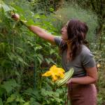 Renée Blair picks string beans from her garden. (Photo by David Welton)