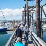 City staff toured the Oak Harbor Marina Thursday morning. (Photo by Sam Fletcher)