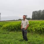Photo by Luisa Loi
Ryan Elting poses in front of cover crops planted by the Organic Farm School. These plants will help restore the soil quality on land previously occupied by cows, he said.