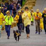 Photo by David Welton
Family members and neighbors in Gretchen Lawlors banana-themed pit crew won an award for being the biggest and best.
