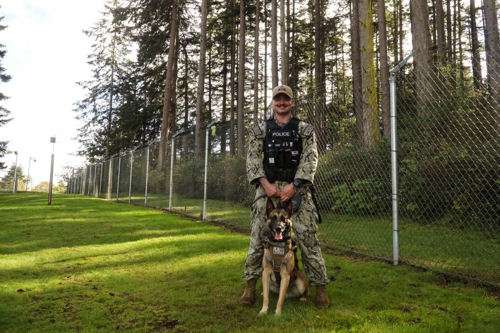 Photo by Sam Fletcher
MA3 Nathaniel Avila poses with his Navy working dog, Simba, outside Naval Air Station Whidbey Island.