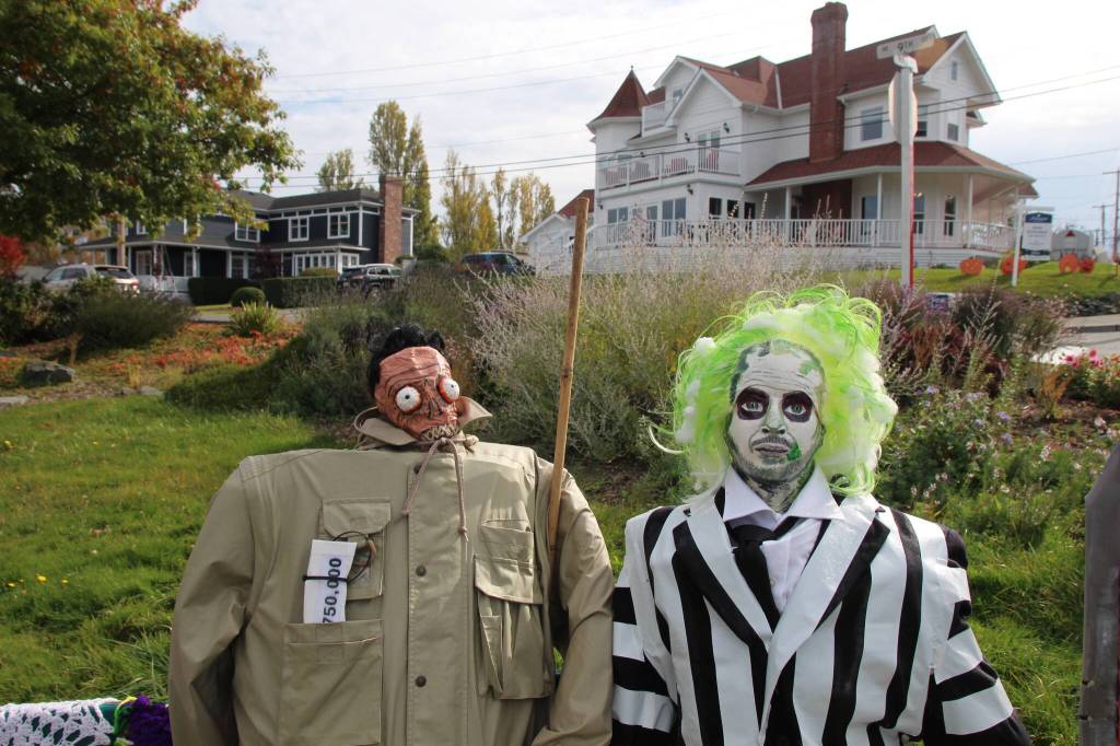(Photo by Luisa Loi)
Harry the Hunter and Beetlejuice sit at Cooks Corner Park as part of the Coupeville Garden Clubs display.