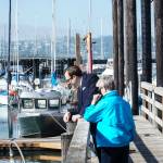 Councilmembers Bryan Stucky and Barbara Armes watch a seal at the Oak Harbor marina. (Photo by Sam Fletcher)