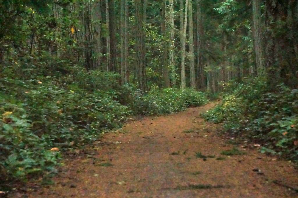 Rhododendron Park in Coupeville is one of the places in the center of the discussion of Element 7 of the county parks and recreation plan. (Photo by Sam Fletcher)