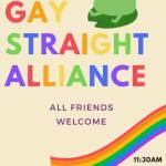 Photo provided
Someone, who has yet to be identified, took down copies of this flyer around the school.