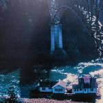 (Photo by Roy Peterson)