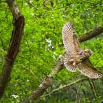 Photo by Cara Hefflinger