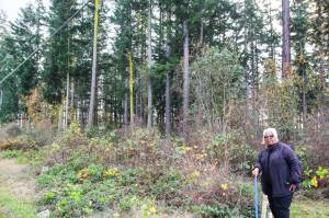 (Photo by Luisa Loi)
Pastor Fannie Dean poses in front of the property on Goldie Road that she hopes will one day house an extension of the Mission Ministry Faith Center.