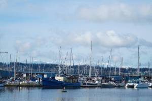 Photo by Sam Fletcher
The 50-year-old Oak Harbor Marina has been the center of many recent debates on its assets and liabilities.