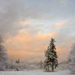 (Photo by David Welton)
The winter solstice is an excellent time to participate in community events.