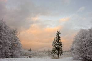 Photo by David Welton