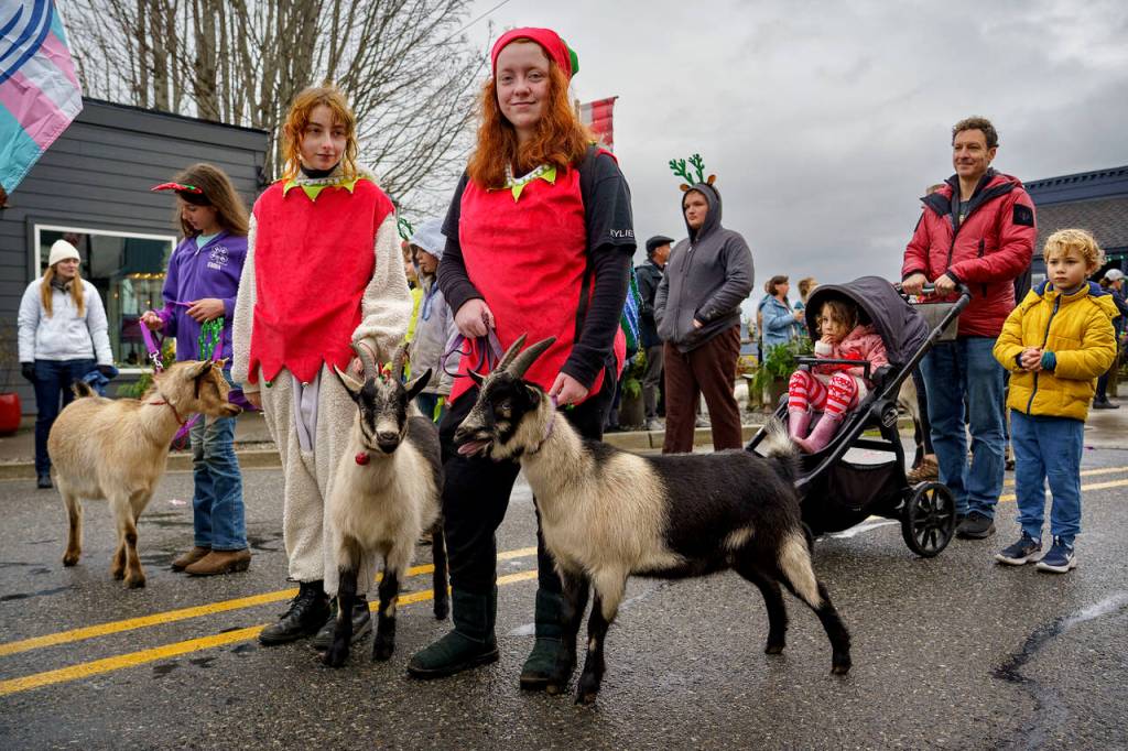 4-H goats marched in Langleys parade. (Photo by David Welton)