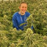(Photo provided)
Bethany Rondeaux, co-owner of Falcanna, sits in an indoor field of cannabis.