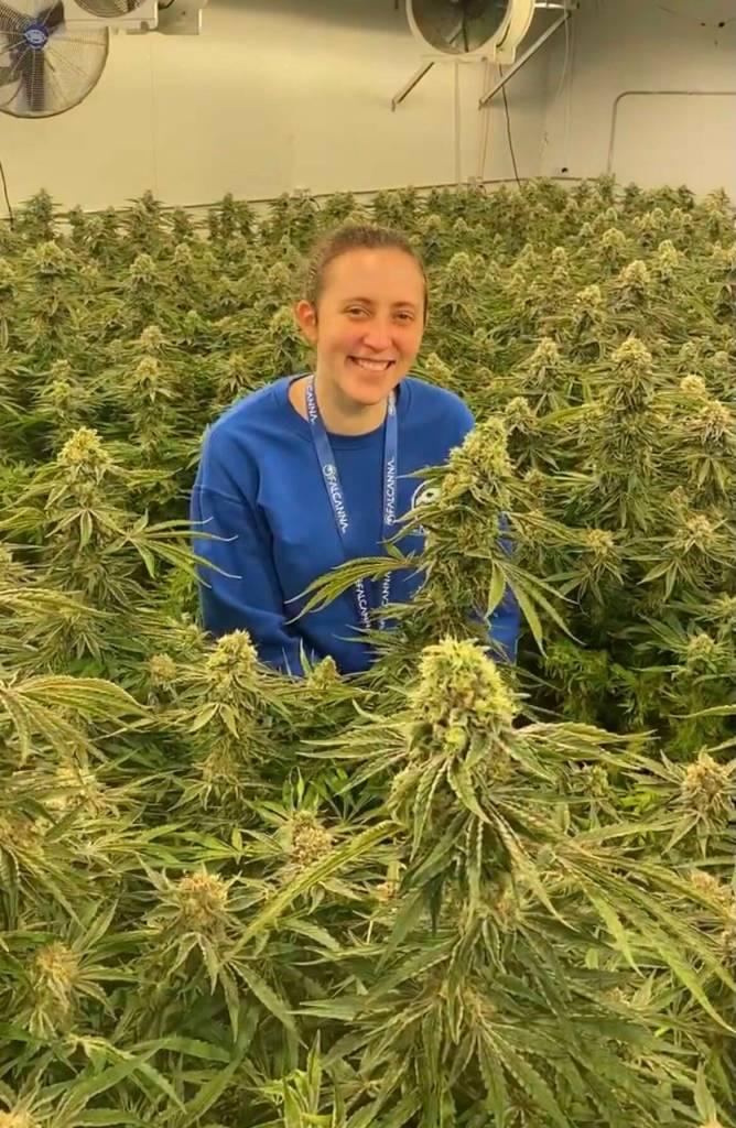 (Photo provided)
Bethany Rondeaux, co-owner of Falcanna, sits in an indoor field of cannabis.