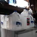 Denis Muller, a resident of Parkwood Manor Mobile Home Park, purchases drinking water to avoid her water system. (Photo by Sam Fletcher)