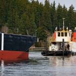 Photo by David Welton