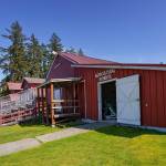 (Photo by David Welton)
The Burrier building on the Whidbey Island Fairgrounds.