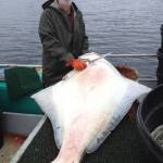 (Photo provided)
Kurt Hoelting, a longtime commercial fisherman in Alaska, with a massive halibut in Frederick Sound.