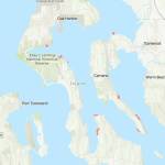 The areas in pink show the neighborhoods where parcels were not allowed to be occupied, rented or bought by people of color. In total, Island County counts 955 (formerly) racially restricted properties. To find addresses, historic documents and more details, search Island County racial restrictive covenants. (Map by the University of Washington Racial Restrictive Covenants Project)