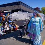 Sea witch Stephanie Raymond walks in front of Patch, the gray whale puppet brought to life by a group of puppeteers that included Filmmaker Dylan Thuras from Atlas Obscura. (Photo by David Welton)