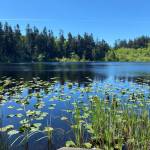 This lake is part of the Double Bluff acquisition project that the Whidbey Camano Land Trust has applied for funds through the Conservation Futures program. (Photo by Carlos Anderson)