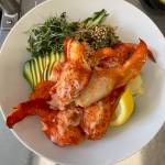 Photo by Joan Samson
Wild caught Canadian lobster is currently on the menu at Japonica.