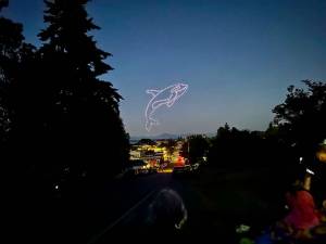 File photo by Peter Morton
Last years Langley Lights the Night drone show was visible from the homes of many Langley residents.