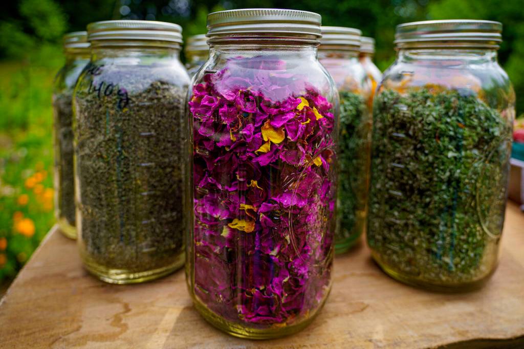 Photo by David Welton
Rosehips add vibrant color to tea mixes.